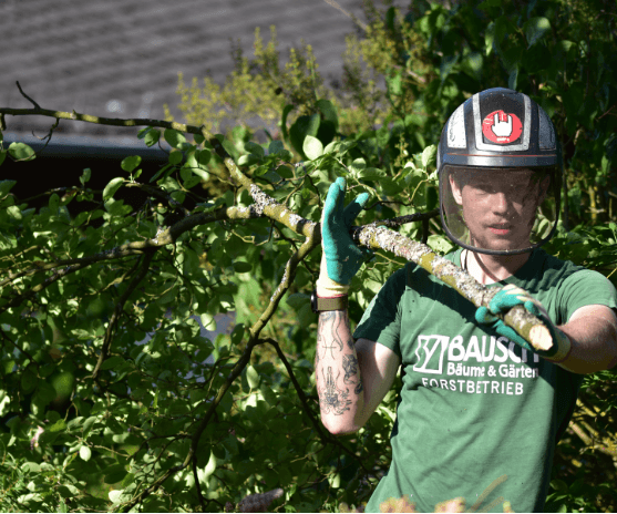 Mann trägt abgeschnittenen Baumast aus Garten