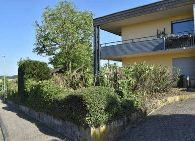 Gartenpflege, Gehölzpflege in Holzappel